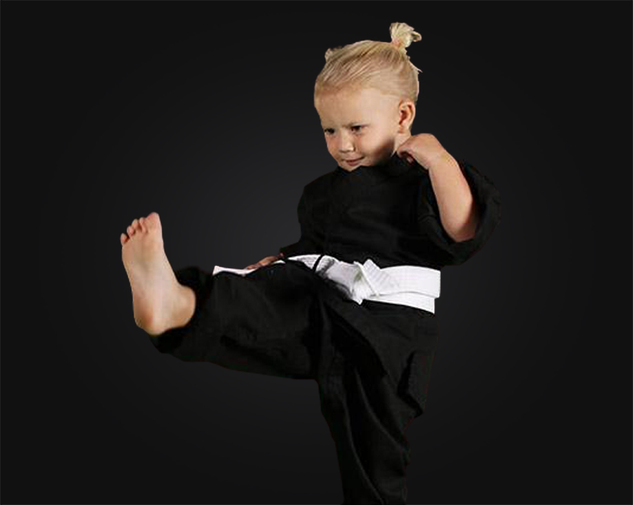 tiger tots martial arts